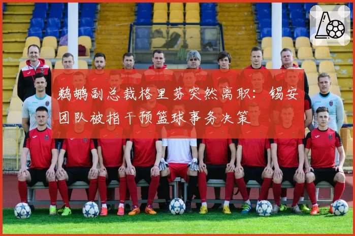 鹈鹕副总裁格里芬突然离职:锡安团队被指干预篮球事务决策