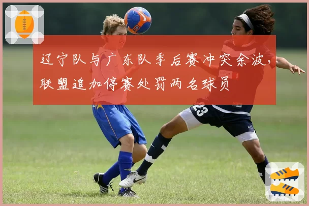 辽宁队与广东队季后赛冲突余波,联盟追加停赛处罚两名球员
